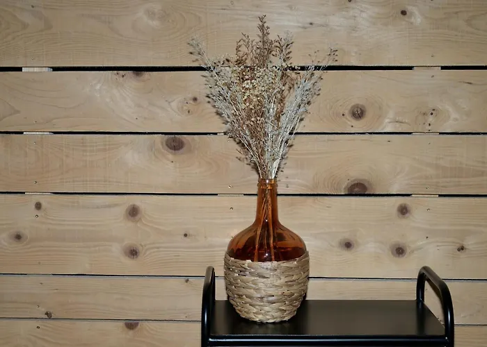 Cabanelise * Montauban-de-Luchon