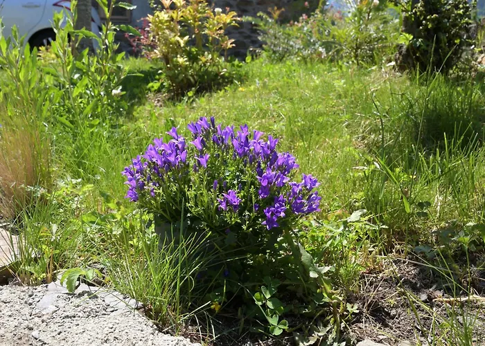 Cabanelise * Montauban-de-Luchon